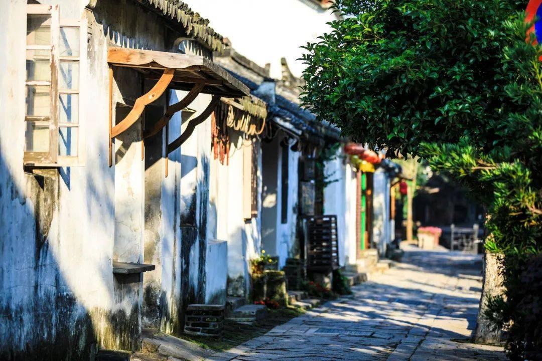 勇闯精灵大陆4